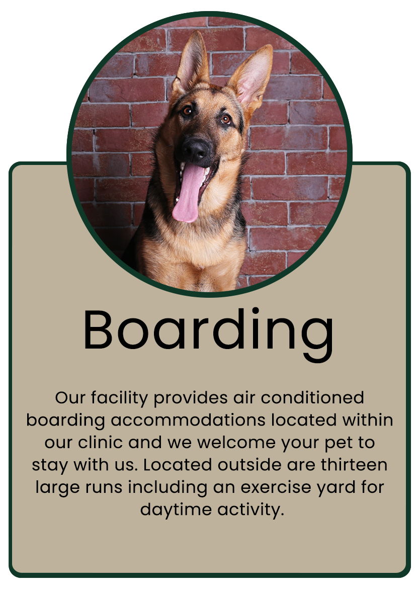boarding infographic
