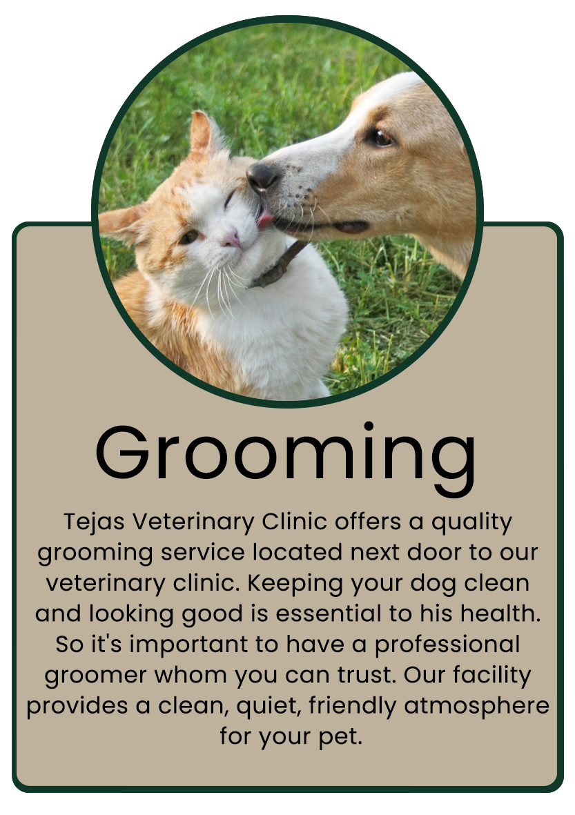 grooming infographic