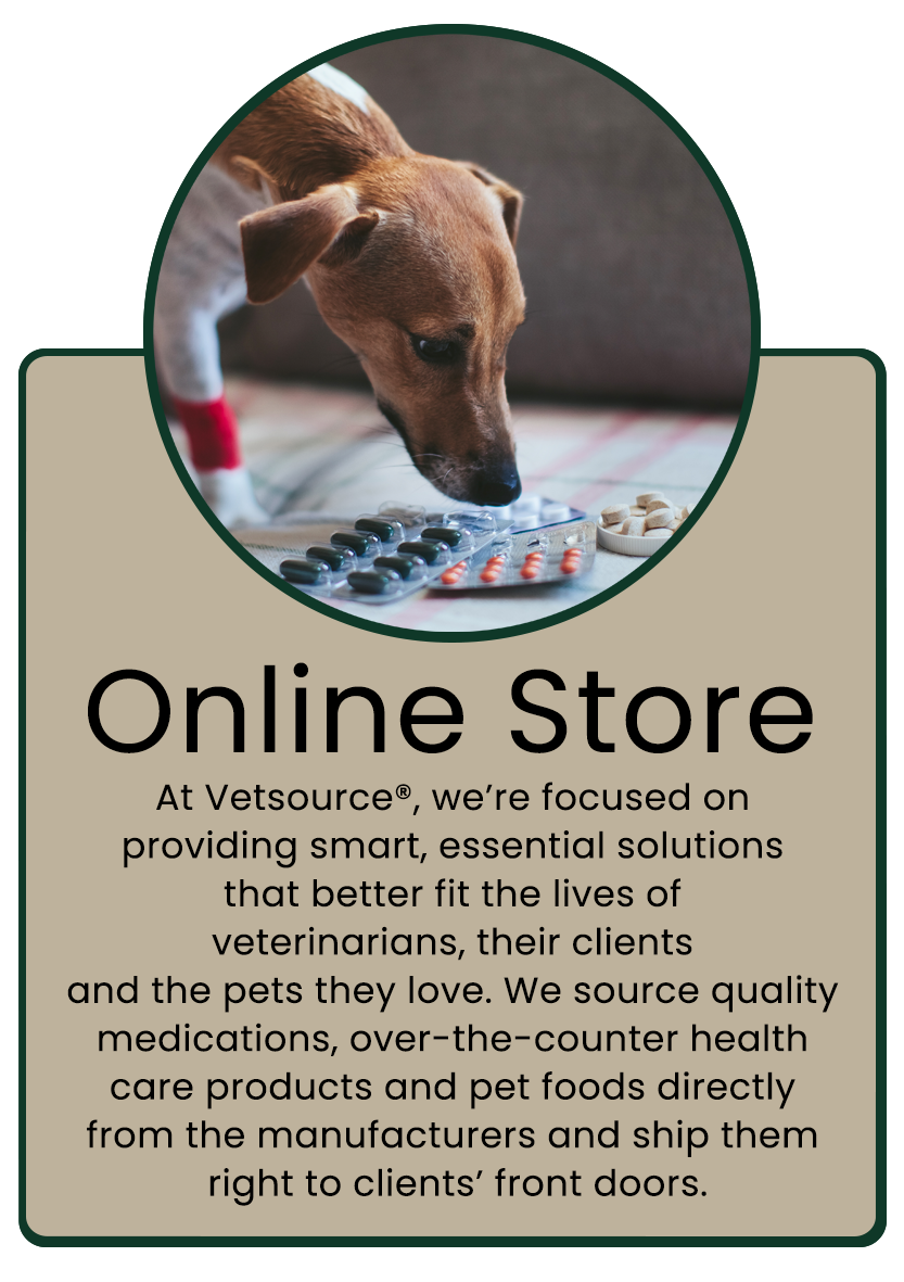 online store infographic