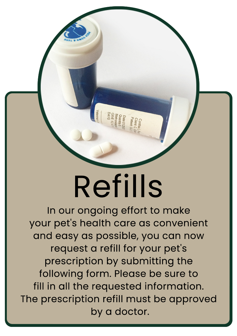 refills infographic